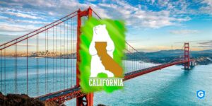 CCPA as a bridge between California Bear and data protection